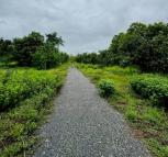 ��� ���Թ ������� ��§����