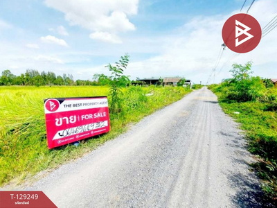 ��·��Թ ͧ��ѡ�칤ù�¡