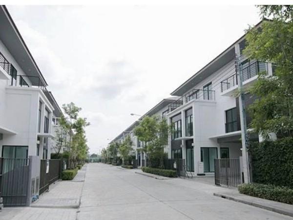 ��ҹ����������� �����ȡ�ا෾