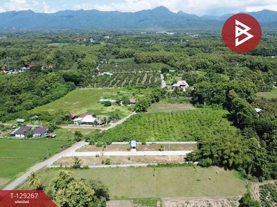 ��·��Թ ���ͧ������