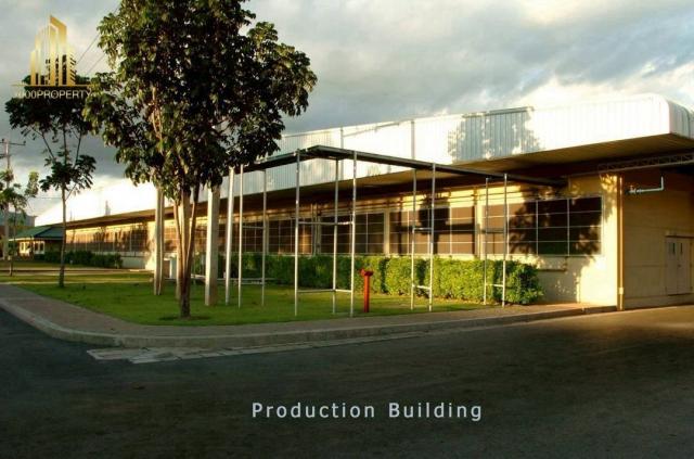 ���⡴ѧ �Ҫ�������ͧ