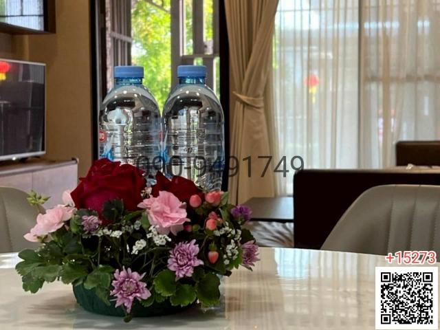 ��ҹ������ �����ȡ�ا෾