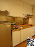 ������ �͹� �ҧ�л� ��ا෾