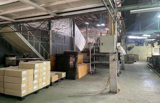 ����ç�ҹ �ҧ��Ҹ���طû�ҡ��