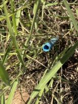 ���Թ 200 ���ҧ�һҡ��� ��ù�¡