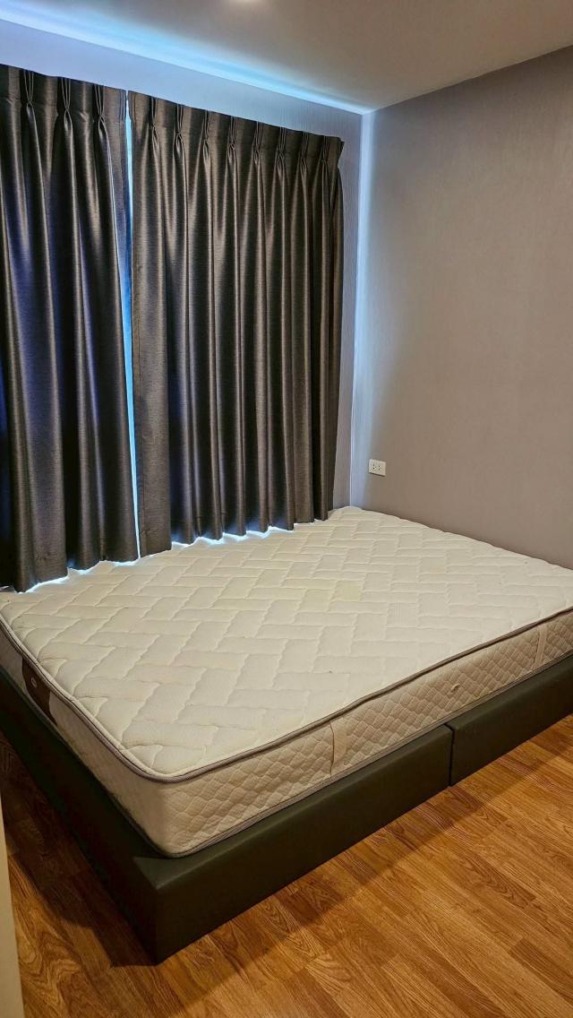 �͹������� ���ͧ������չ������