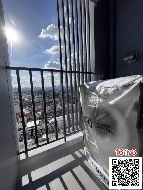 �͹� �ҧ�л� 24 ���ҧ����