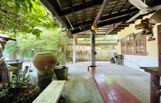 ��º�ҹ����� ��������ا෾