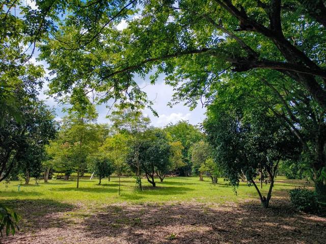 ��·��Թ �ҧ�СӾ�ɳ��š