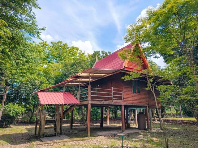 ���Թ����������� ��ɳ��š