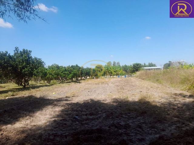 ��·��Թ ���ʹԤ��ź���