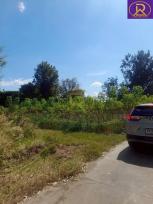 ���Թ ���ʹԤ�