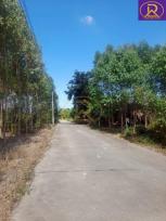 ���Թ ���ʹԤ� 199 ���ҧ��