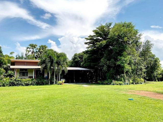 ��º�ҹ ���ͧ˹ͧ���˹ͧ���