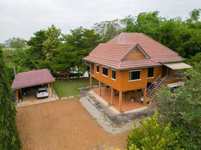 ��ҹ ���Ż�����/10