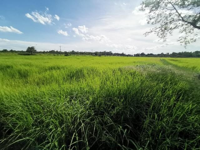 ���Թ ���š�ا෾/4