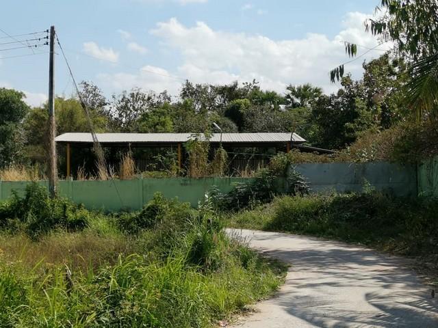 ���⡴ѧ ����ç���¹