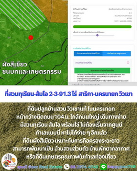 ��·��Թ ���ͧ��ù�¡ ��ù�¡