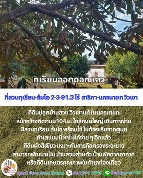 ���Թ ���ͧ 1,191.30 ���ҧ��