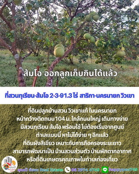 ��·��Թ ���ͧ��ù�¡ ��ù�¡