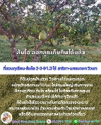 ���Թ 1,191.30 ���ҧ��