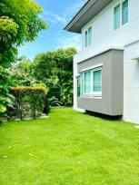 ��ҹ ������