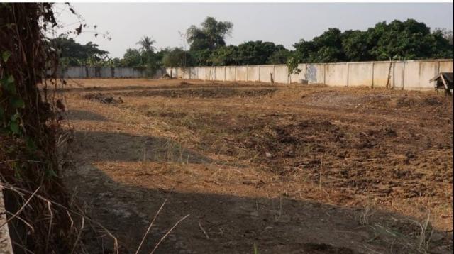 ���Թ ����