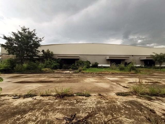 ����ç�ҹ �ѵ���ʪ������