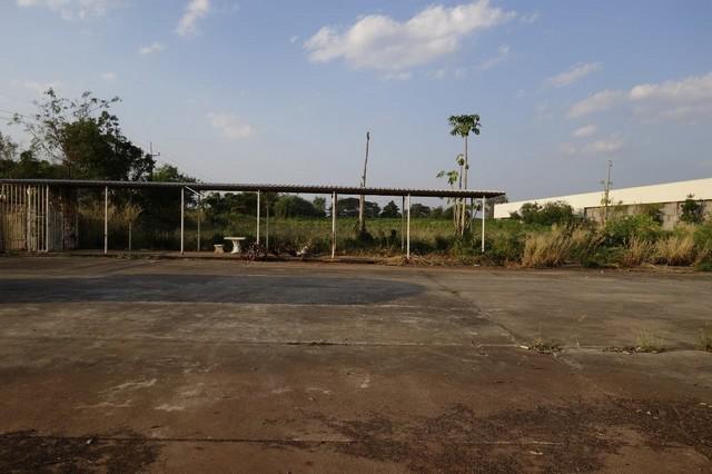 ����ç�ҹ �ѵ���ʪ������