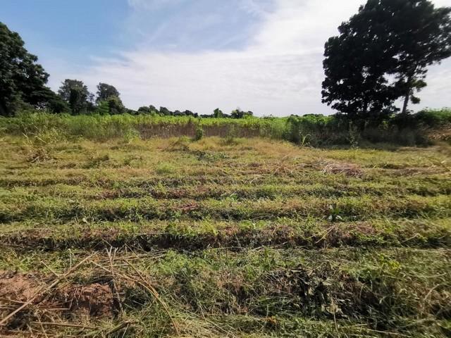 ���Թ ����