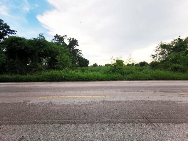 ��·��Թ �ѵ���ʪ������