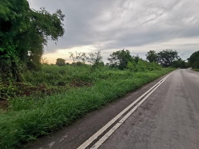 ��·��Թ �ѵ���ʪ������