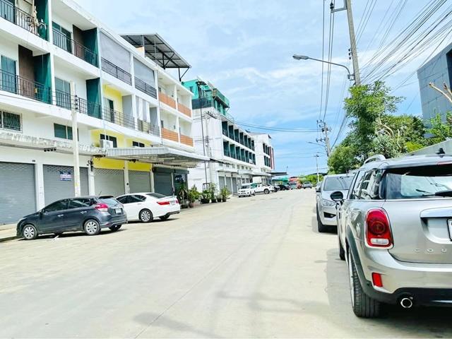 �Ҥ�þҳԪ��