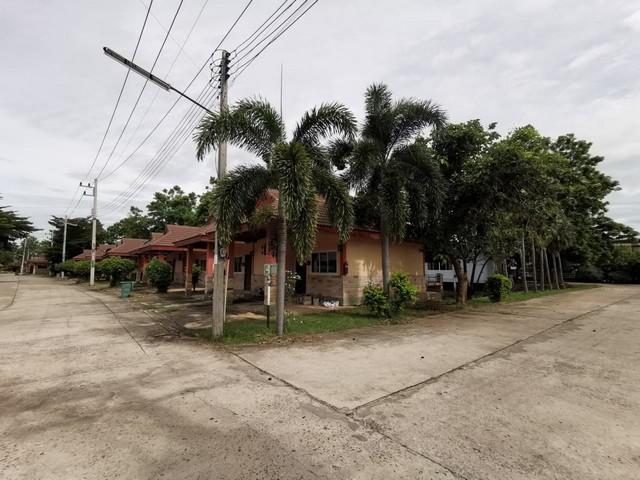 ��º�ҹ ���ͧ������Ԫ������