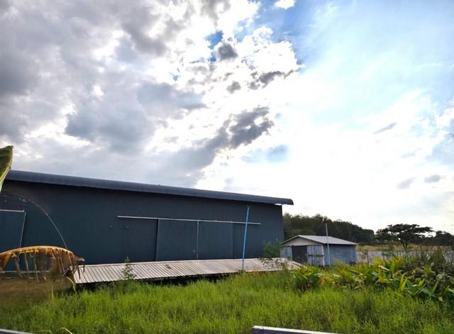 ⡴ѧ������ �ҧ���ا�ź���