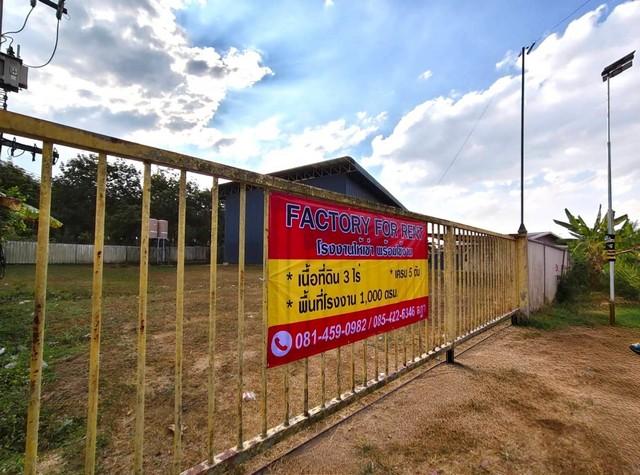 ⡴ѧ������ �ҧ���ا�ź���