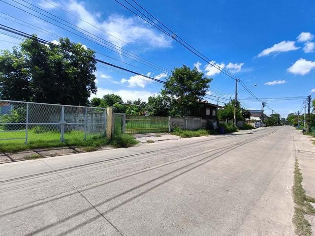 ��º�ҹ ��ҹ��͹��