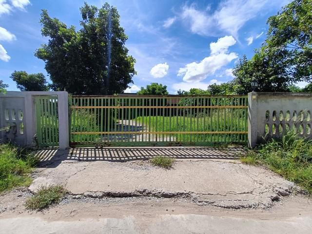 ��º�ҹ ��ҹ��͹��