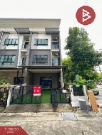 ��ǹ������� 3 ���