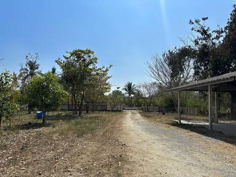 ���⡴ѧ �Ⱥ�Ź����§���� ��§����