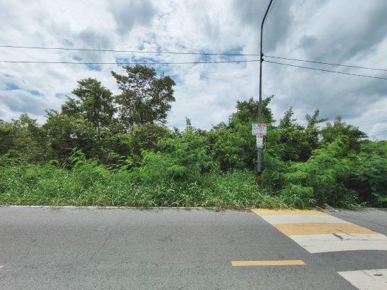 ที่ดิน ที่ดิน