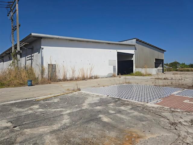 ���ʹԤ� �� goodlada24