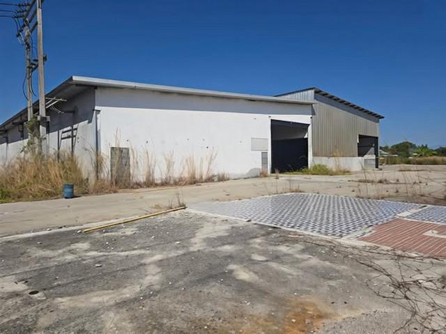 ���⡴ѧ ���ʹԤ� �ź���