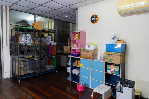 ⡴ѧ������ �ҹ����