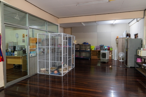 ⡴ѧ������ �ҹ����