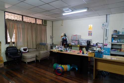 ⡴ѧ������ �ҹ����