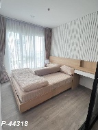 �͹����������