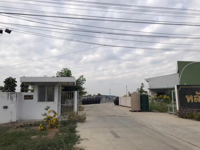 ��·��Թ �ù��¹������