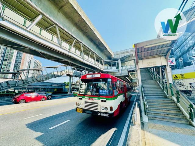 �Ҥ�þҳԪ����������� ���⢹�