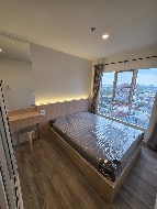 �͹����������